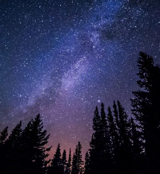 Cielo estrellado sobre la Sierra de Gredos, con siluetas de pinos