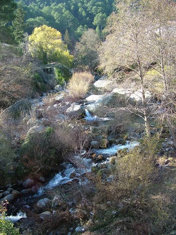Río de Cantos, cauce de montaña