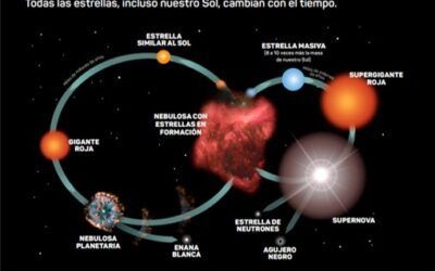 Los ciclos de las estrellas y los ciclos de la vida